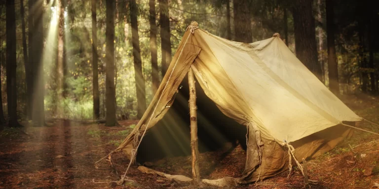 Survival Tent In The Woods